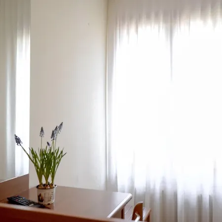 Hotel Silva *