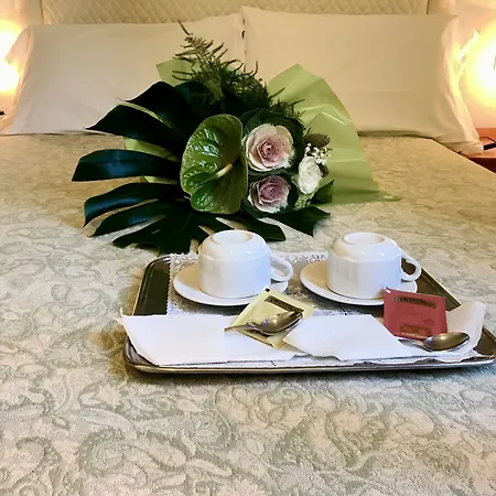 Hotel Silva